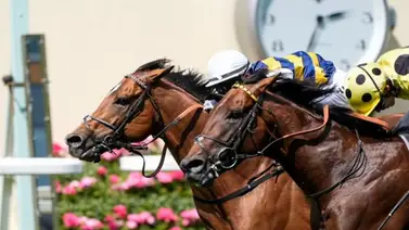 Conoce quien gana el primer Stakes de Royal Ascot que es clasificatoria para la Breeders' Cup 2025 Conoce quien gana el primer Stakes de Royal Ascot que es clasificatoria para la Breeders' Cup 2025