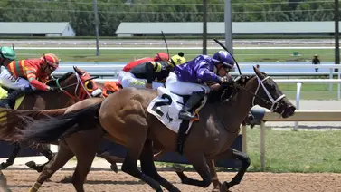 Último minuto: Ice irrumpe en este hipódromo de EEUU y detiene a indocumentados Último minuto: Ice irrumpe en este hipódromo de EEUU y detiene a indocumentados