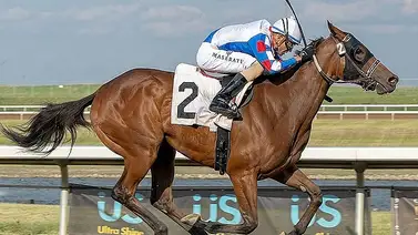 Entrenador venezolano destaca en el hipismo canadiense y se coloca muy cerca de las 100 victorias Entrenador venezolano destaca en el hipismo canadiense y se coloca muy cerca de las 100 victorias