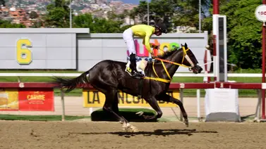 Retirado gran favorito de las no válidas de este domingo en La Rinconada Retirado gran favorito de las no válidas de este domingo en La Rinconada