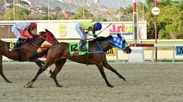 Retirada yegua que era favorita de Gaceta Hípica en el 5y6 nacional del domingo