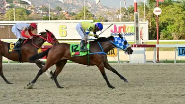 Retirada yegua que era favorita de Gaceta Hípica en el 5y6 nacional del domingo Retirada yegua que era favorita de Gaceta Hípica en el 5y6 nacional del domingo