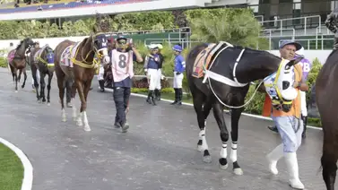Importante noticia para el 5y6: Se confirma un retiro en la quinta válida dominical de La Rinconada Importante noticia para el 5y6: Se confirma un retiro en la quinta válida dominical de La Rinconada