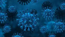 Nueva Variante Nimbus de Covid-19: Propagación inmediata (+Síntomas) 