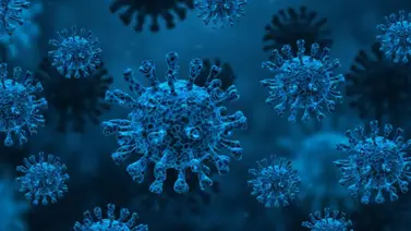 Nueva Variante Nimbus de Covid-19: Propagación inmediata (+Síntomas) 