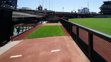 MLB: Los Gigantes de San Francisco recuperan lanzador estelar