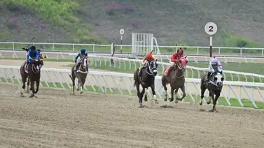 Su ajuste indica que reaparece muy bien y venderá cara su derrota este domingo en La Rinconada Su ajuste indica que reaparece muy bien y venderá cara su derrota este domingo en La Rinconada