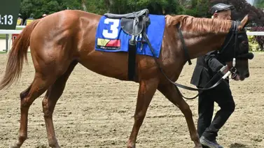 ¡Atención clásico! Potra destaca con un buen ajuste en el Ángel F. Parra (GIII) ¡Atención clásico! Potra destaca con un buen ajuste en el Ángel F. Parra (GIII)