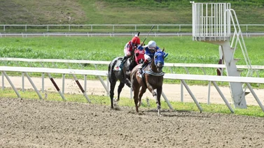¡Ojo al loto hípico! Caballo que regresa por lo suyo ajusta cómodo y con remate de 12.1 en la arena de la Rinconada
