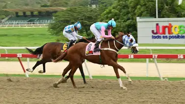 El "No favorito" que podría sorprender: Su ajuste enciende las alarmas en el 5y6 de la R23 El "No favorito" que podría sorprender: Su ajuste enciende las alarmas en el 5y6 de la R23