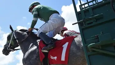 Datos de última hora incluye el Best Bet y los Picks para la jornada en Gulfstream Park 19-6-2025 + Belmont Park Datos de última hora incluye el Best Bet y los Picks para la jornada en Gulfstream Park 19-6-2025 + Belmont Park