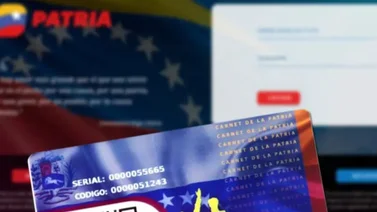 Patria continúa la asignación del "Bono Complementario": ¿Quiénes lo cobran?