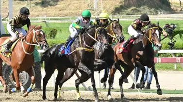 Descubre cómo este ajuste de la sorpresa de Gaceta Hípica puede transformar tu estrategia para sellar el cuadro y llevarte a la victoria Descubre cómo este ajuste de la sorpresa de Gaceta Hípica puede transformar tu estrategia para sellar el cuadro y llevarte a la victoria