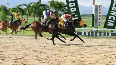 Novedades en el 5y6 de Valencia: Confirmados los primeros dos retirados de la reunión 12 Novedades en el 5y6 de Valencia: Confirmados los primeros dos retirados de la reunión 12