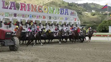 ¿Listo para Ganar? Te revelamos los ejemplares más poderosos a esta hora en La Rinconada ¿Listo para Ganar? Te revelamos los ejemplares más poderosos a esta hora en La Rinconada