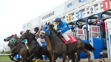 ¡Alerta en Canadá! Un establo ha sido puesto en cuarentena por esta enfermedad ¡Alerta en Canadá! Un establo ha sido puesto en cuarentena por esta enfermedad