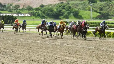 No todo es Zappelin y Drako: Dividendo a la vista emerge como seria oposición en la jornada 23 No todo es Zappelin y Drako: Dividendo a la vista emerge como seria oposición en la jornada 23