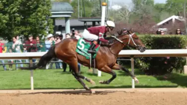 Clever Again luego de su actuación el Preankess Stakes va por los $500.000 del Ohio Derby este fin de semana Clever Again luego de su actuación el Preankess Stakes va por los $500.000 del Ohio Derby este fin de semana