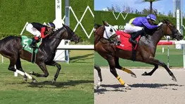 Jóvenes talentos venezolanos brillan en Gulfstream Park: Yolbert Torres y Luis Fuenmayor destacan en la jornada sabatina