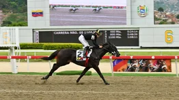 ¡Domingo de Clásicos en La Rinconada! Tus mejores apuestas te esperan en MeridianoBet
