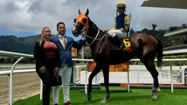 Hito en el hipismo: El 5y6 rompe marcas por décima semana al hilo en La Rinconada Hito en el hipismo: El 5y6 rompe marcas por décima semana al hilo en La Rinconada