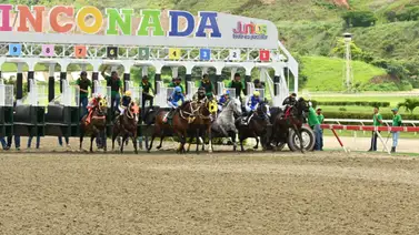 Acción disciplinaria: Destacado jinete aprendiz recibe multa en La Rinconada Acción disciplinaria: Destacado jinete aprendiz recibe multa en La Rinconada