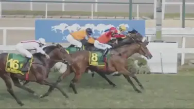 Mira: un jockey casi pierde la carrera más importante de Brasil después de celebrar demasiado pronto Mira: un jockey casi pierde la carrera más importante de Brasil después de celebrar demasiado pronto