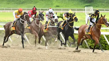 La Rinconada: Segundo paso de la Triple Corona en 1.800 metros llega con la reunión 24 La Rinconada: Segundo paso de la Triple Corona en 1.800 metros llega con la reunión 24