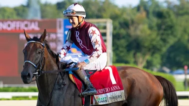 Por la revancha: Thorpedo Anna a reivindicarse este sábado en el Fleur de Lis Stakes 