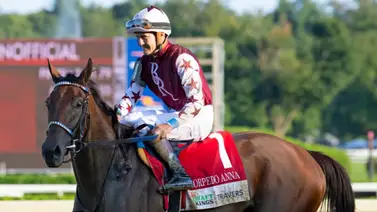 Por la revancha: Thorpedo Anna a reivindicarse este sábado en el Fleur de Lis Stakes Por la revancha: Thorpedo Anna a reivindicarse este sábado en el Fleur de Lis Stakes