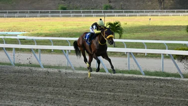 No pierdan detalle un ganador contundente regresa a la pista de La Rinconada y podría volver a sorprender con un triunfo repetido