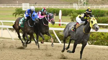 Pendiente que regresa la yegua que en su última era gran favorita y no figuró por muchos tropiezos Pendiente que regresa la yegua que en su última era gran favorita y no figuró por muchos tropiezos