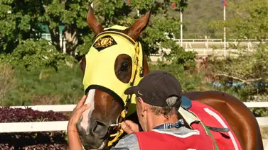 Tras los pasos de Miss Emmy: Su hermana completa debuta este domingo en La Rinconada Tras los pasos de Miss Emmy: Su hermana completa debuta este domingo en La Rinconada