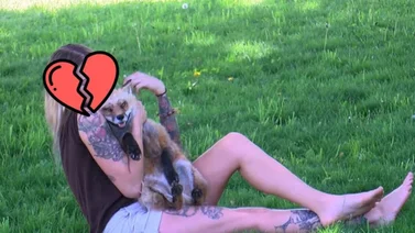 Estrella de YouTube se quita la vida tras sufrir bullying a sus 29 años