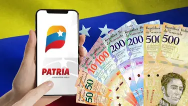 Bonos de la Patria activos hoy, 26 de junio: ¿Cuáles son los montos? Bonos de la Patria activos hoy, 26 de junio: ¿Cuáles son los montos?