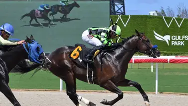 Marcos Meneses a tiro de esta increíble marca en su carrera profesional en Estados Unidos Marcos Meneses a tiro de esta increíble marca en su carrera profesional en Estados Unidos