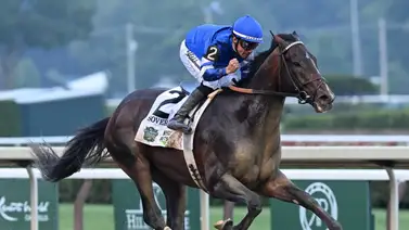 Junior Alvarado con mejor ritmo de Stakes ganados que en los últimos tres años Junior Alvarado con mejor ritmo de Stakes ganados que en los últimos tres años
