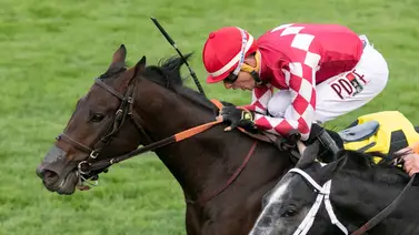 Francisco Arrieta vuelve a montar después de casi un mes en Estados Unidos Francisco Arrieta vuelve a montar después de casi un mes en Estados Unidos