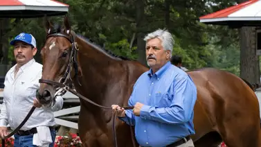 Entrenador estadounidense se acerca a 11 mil victorias de por vida Entrenador estadounidense se acerca a 11 mil victorias de por vida