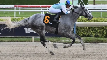 Ismeiro Villalobos va este fin de semana por su primer título en este hipódromo estadounidense
