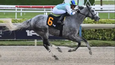 Ismeiro Villalobos va este fin de semana por su primer título en este hipódromo estadounidense Ismeiro Villalobos va este fin de semana por su primer título en este hipódromo estadounidense