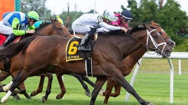 René Díaz con mucho chance para ganar dos Stakes de $125.000 en el Festival de Césped de Verano 