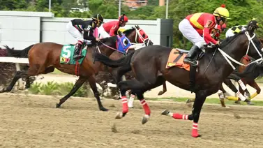 Atención aficionado hípico: Así queda el ajuste de la línea de Gaceta Hípica para la carrera de los acumulados del 5y6 Atención aficionado hípico: Así queda el ajuste de la línea de Gaceta Hípica para la carrera de los acumulados del 5y6