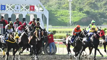 Apuesta con inteligencia: Aquí te revelamos lo que ajustó la gran opción de Gaceta Hípica para cambiar tu suerte Apuesta con inteligencia: Aquí te revelamos lo que ajustó la gran opción de Gaceta Hípica para cambiar tu suerte