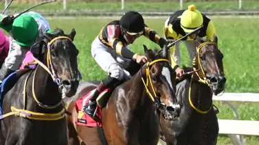 Con el ajuste de la sorpresa de Gaceta Hípica te da la ventaja definitiva para ganar el 5y6 Con el ajuste de la sorpresa de Gaceta Hípica te da la ventaja definitiva para ganar el 5y6