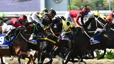 Mira este ejemplar que se destacó con el mejor ajuste para la R24 en La Rinconada