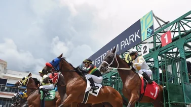 Datos de última hora incluye el Best Bet y los Picks para la jornada en Gulfstream Park 26-6-2025 + Belmont