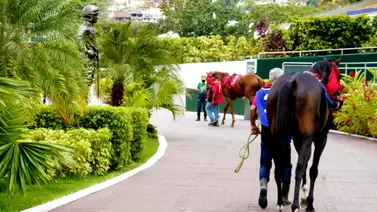 Retirado el primer ejemplar de las no válidas en la reunión 24 en La Rinconada Retirado el primer ejemplar de las no válidas en la reunión 24 en La Rinconada