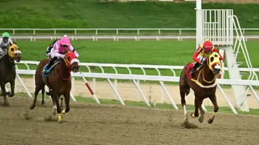 Con el excelente ajuste de este ejemplar indica que reaparece muy bien y buscará repetir con victoria en la R24 en La Rinconada Con el excelente ajuste de este ejemplar indica que reaparece muy bien y buscará repetir con victoria en la R24 en La Rinconada