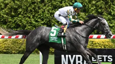 La dupla de Clement lucen para uno-dos por un stakes de $125.000 entérate de los detalles La dupla de Clement lucen para uno-dos por un stakes de $125.000 entérate de los detalles